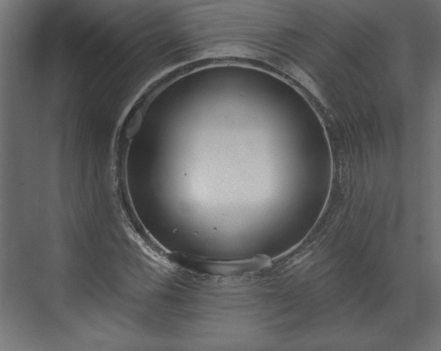 X0000073951116200608281208