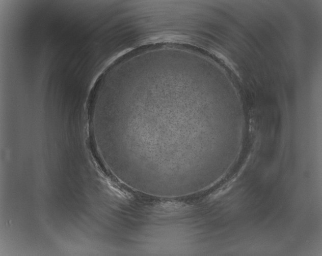 X0000073951117200608281208