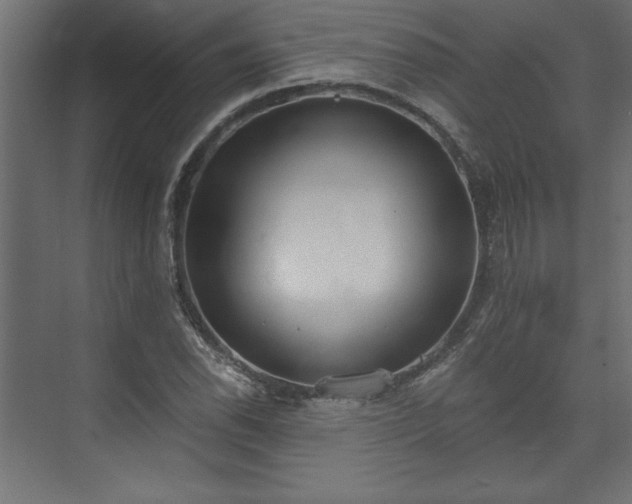 X0000073951118200608281208