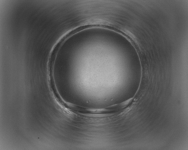 X0000073951120200608281208