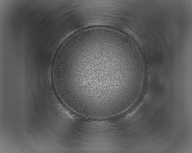 X0000073951121200608281208