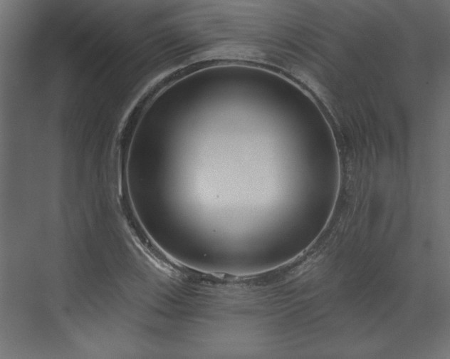 X0000073951123200608281208