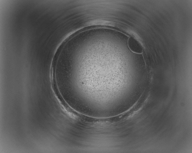 X0000073951125200608281208