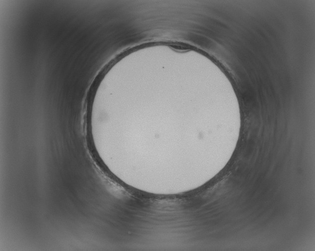 X0000073951126200608281208