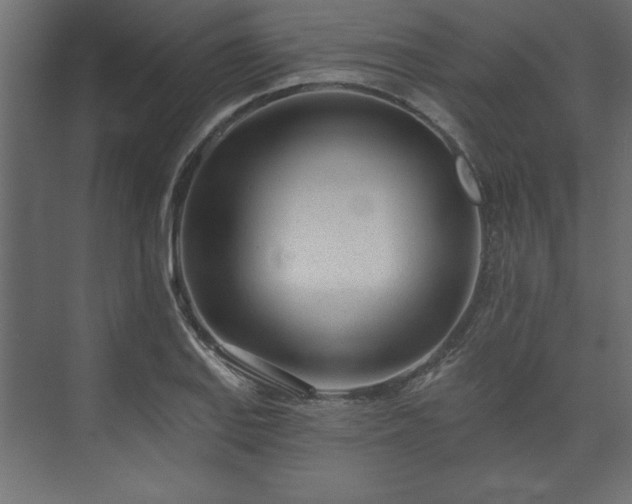 X0000073951127200608281208