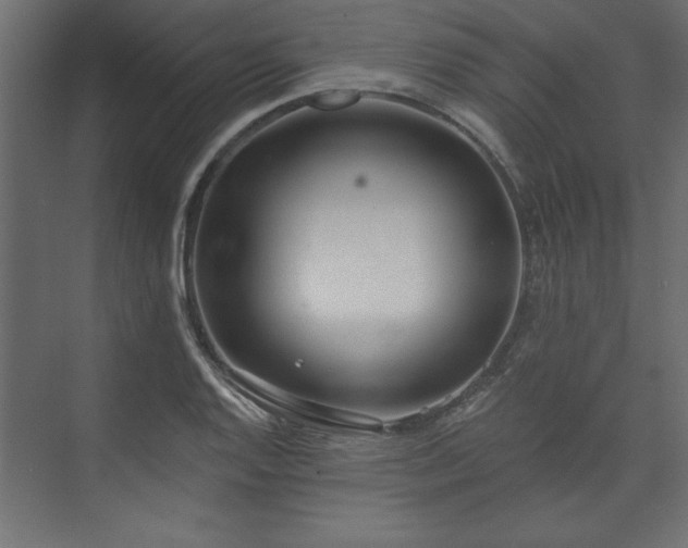 X0000073951128200608281208