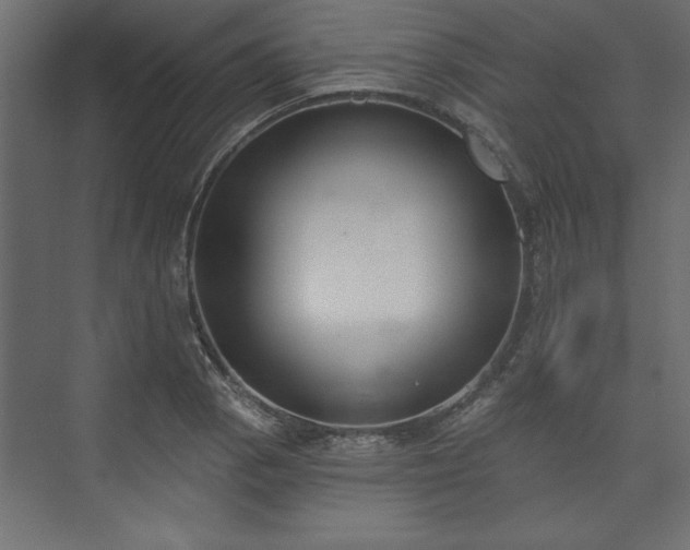 X0000073951129200608281208