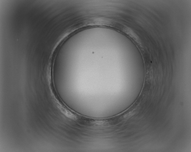 X0000073951130200608281208