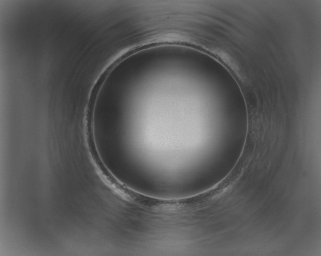 X0000073951134200608281208