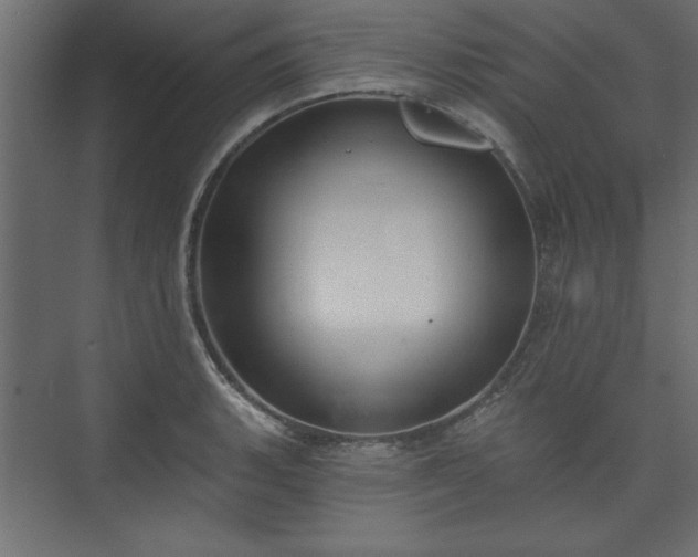 X0000073951135200608281208