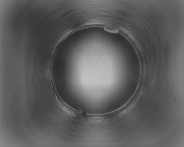 X0000073951137200608281208