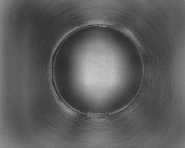 X0000073951140200608281208