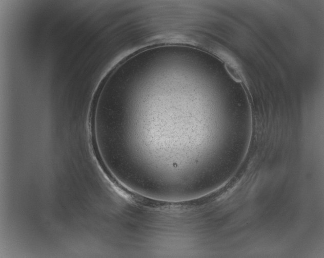 X0000073951141200608281208