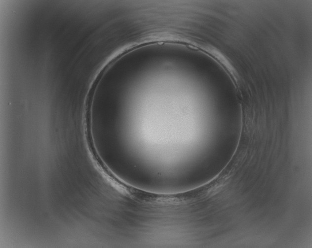 X0000073951142200608281208