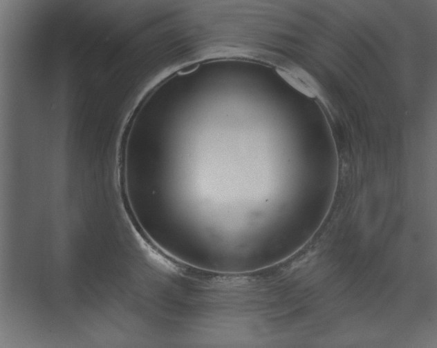 X0000073951143200608281208