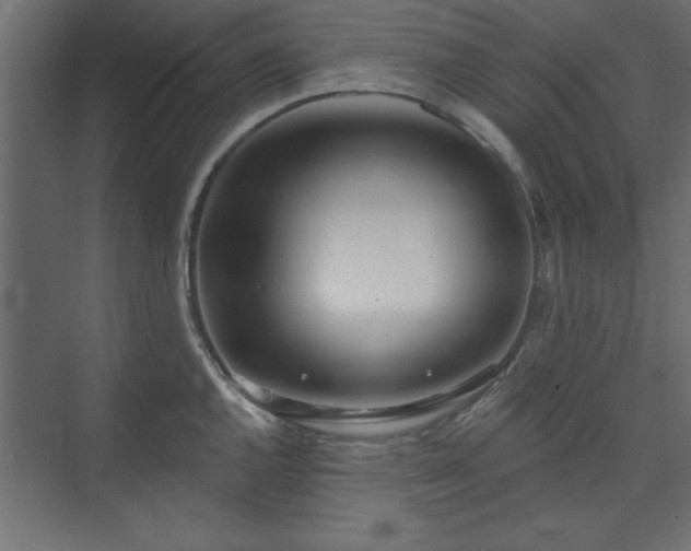 X0000073951144200608281208