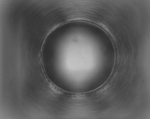 X0000073951145200608281208