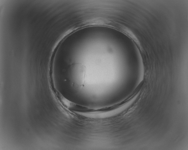 X0000073951146200608281208