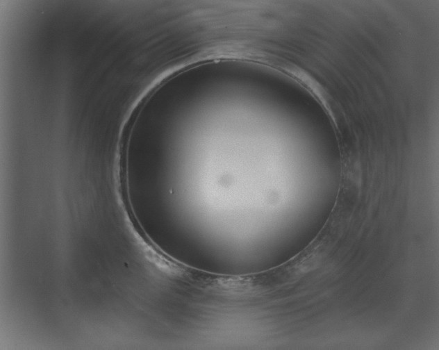 X0000073951147200608281208