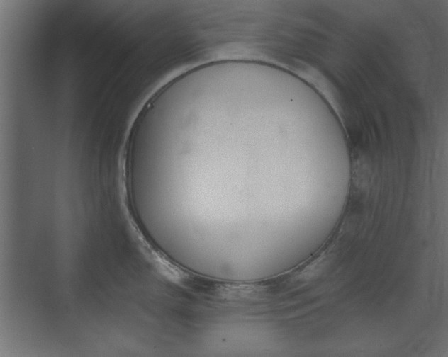 X0000073951150200608281208