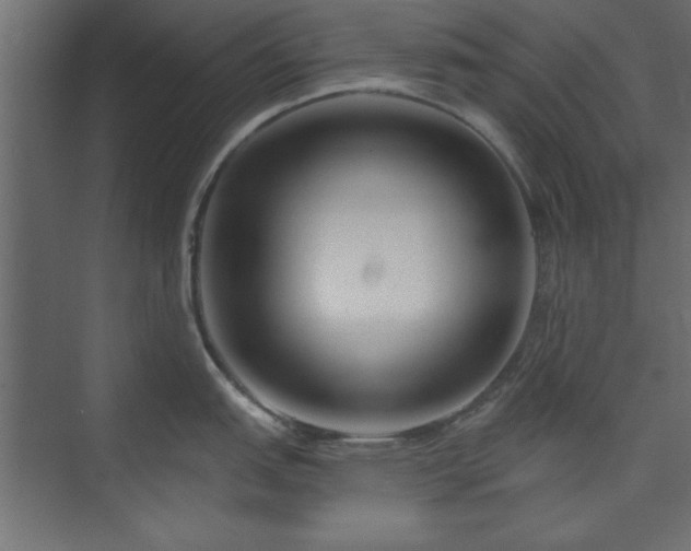 X0000073951151200608281208