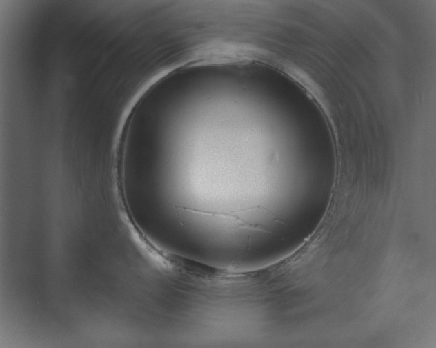 X0000073951152200608281208