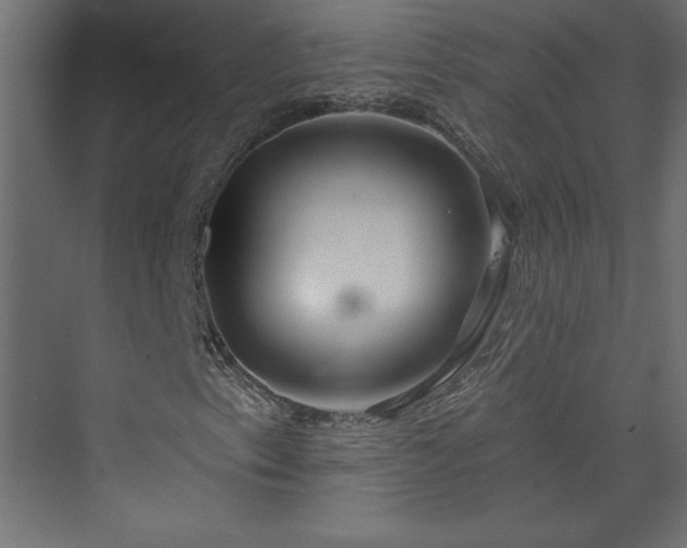 X0000073951153200608281208