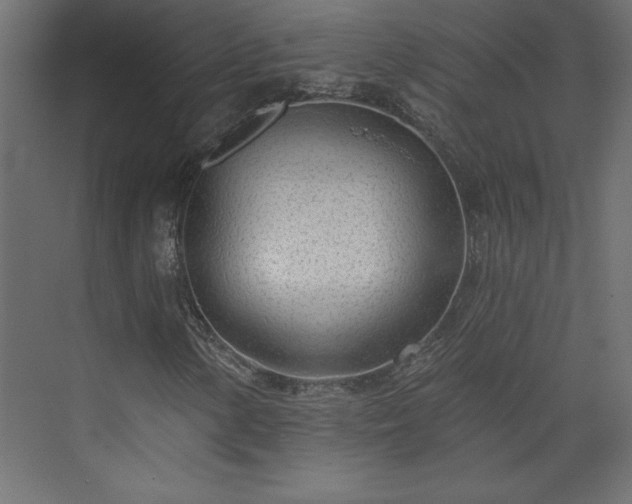 X0000073951154200608281208