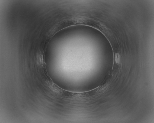 X0000073951155200608281208