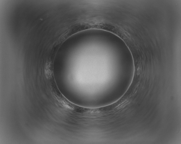 X0000073951156200608281208