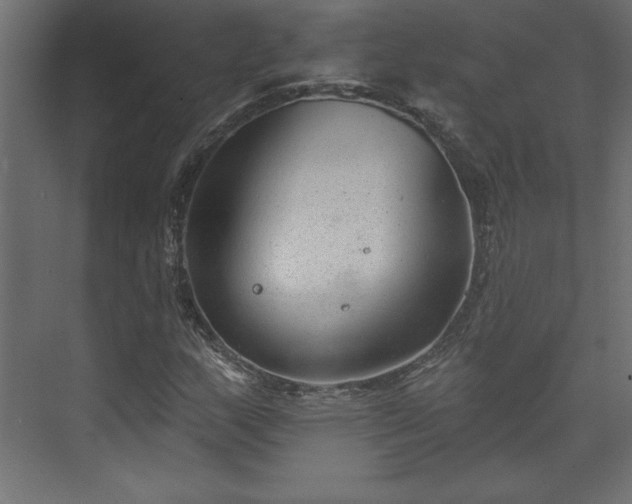 X0000073951159200608281207