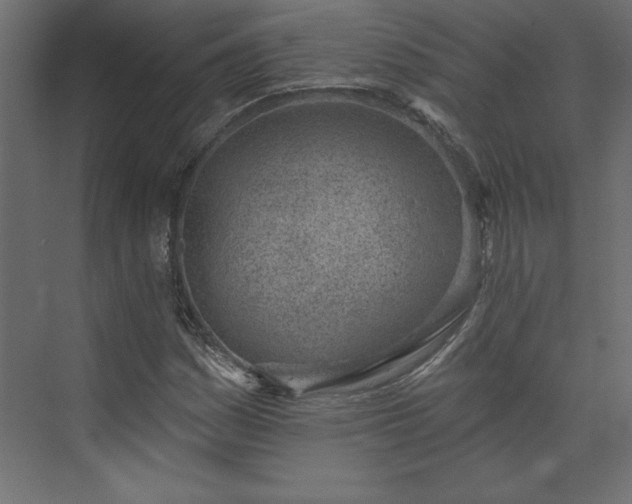 X0000073951161200608281207