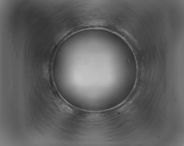 X0000073951162200608281207