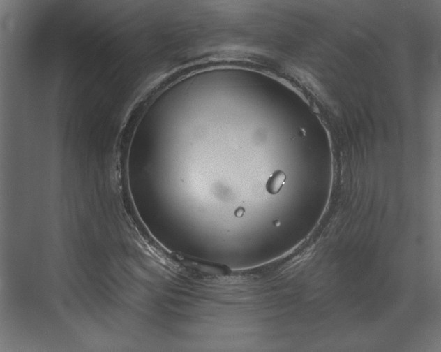 X0000073951164200608281207