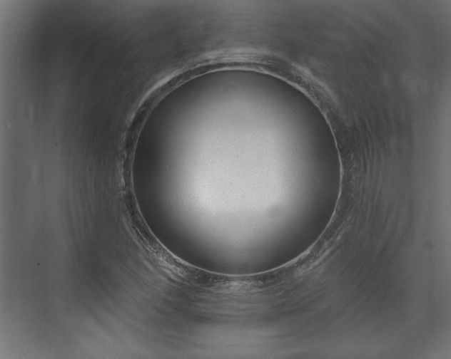 X0000073951166200608281207