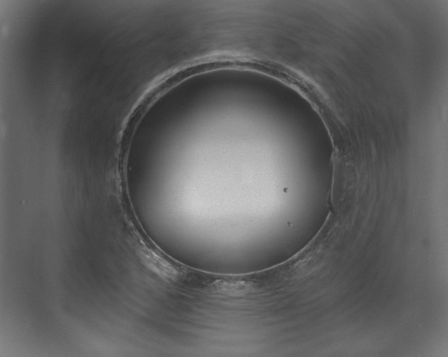 X0000073951168200608281207