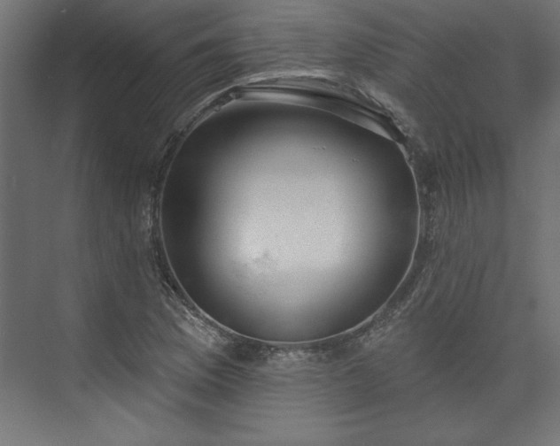 X0000073951169200608281207