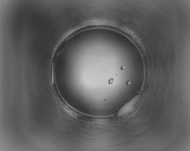 X0000073951175200608281207