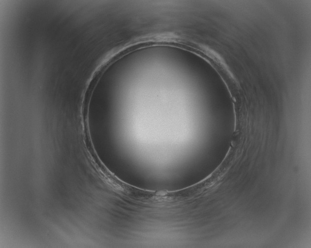 X0000073951176200608281207