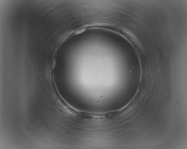 X0000073951177200608281207