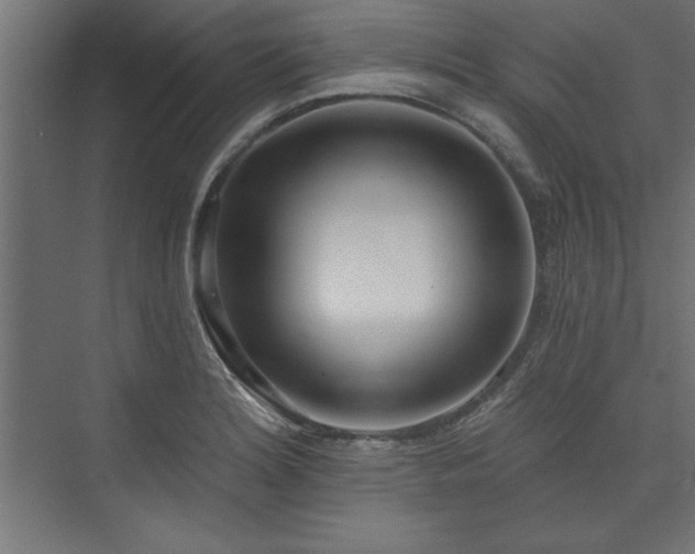 X0000073951180200608281207