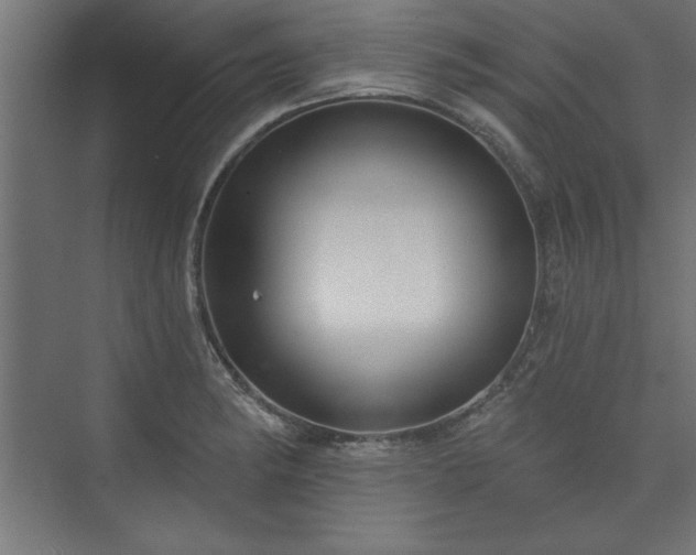 X0000073951182200608281207