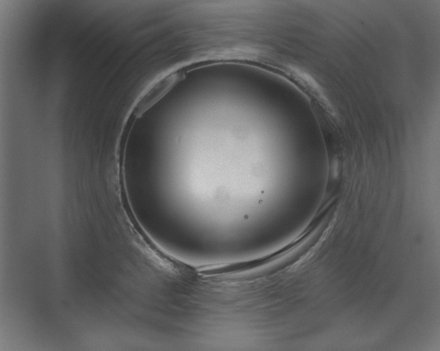 X0000073951184200608281207