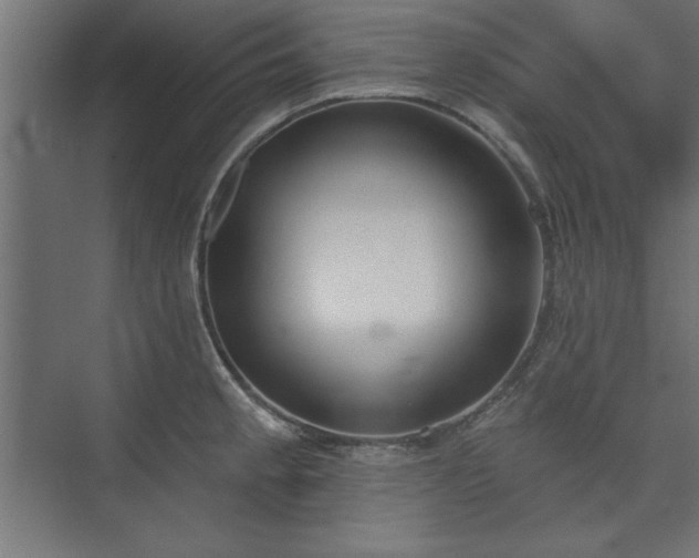 X0000073951189200608281207