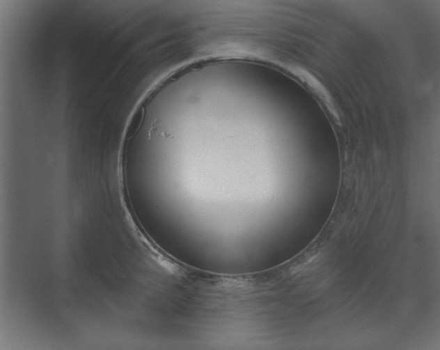 X0000073951191200608281207