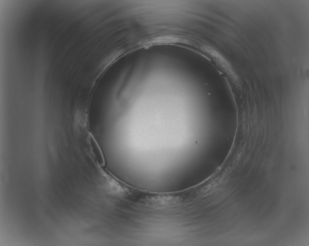 X0000073951193200608281207