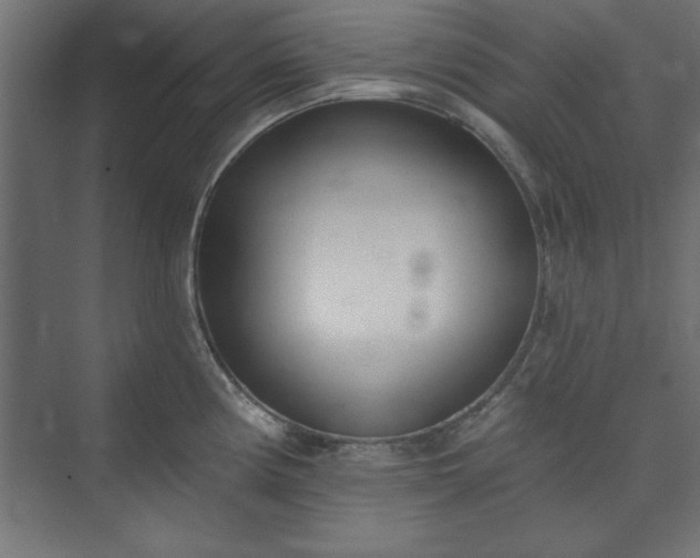 X0000073951194200608281207