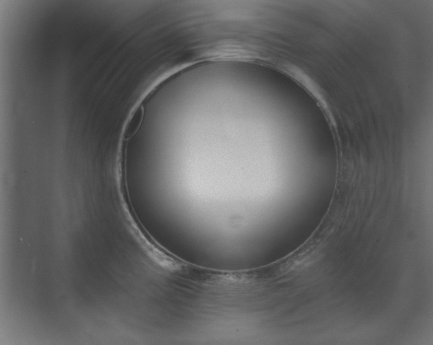 X0000073951195200608281207