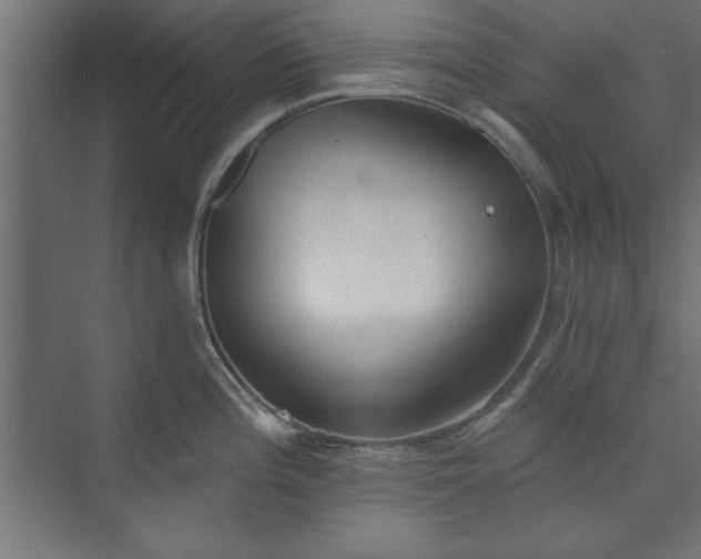 X0000073951196200608281207