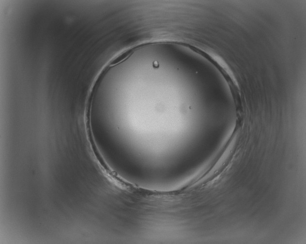 X0000073951197200608281207